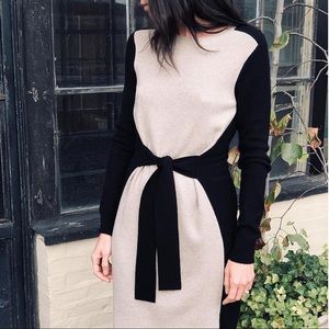 Club Monaco Arnettie Sweater Dress